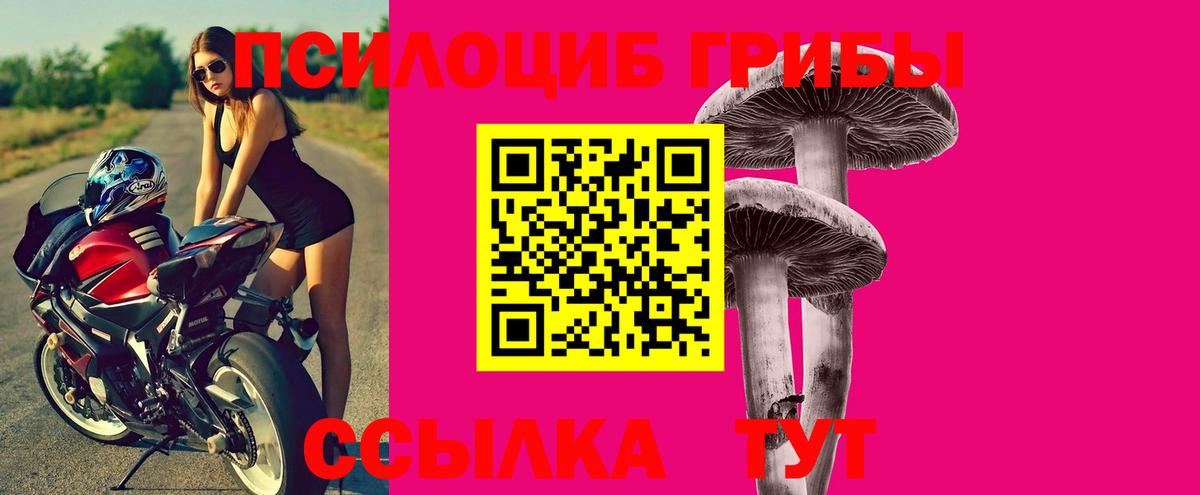 Артёмовский  Псилоцибиновые грибы Psilocybine cubensis  Вход с VPN 